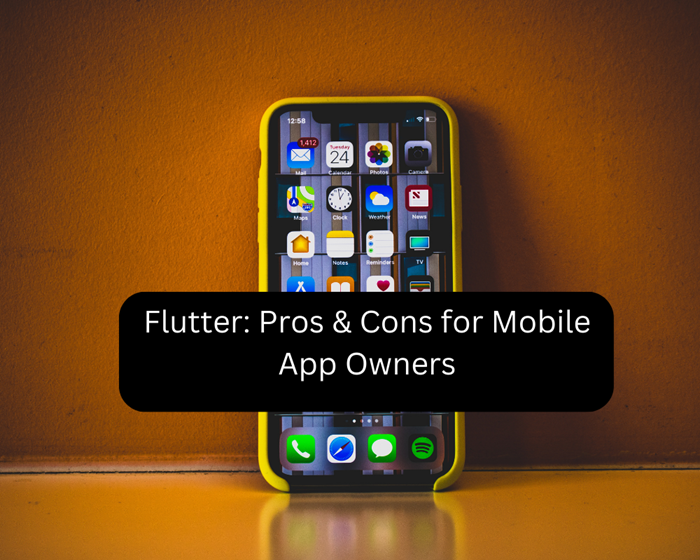 Flutter: Pros & Cons for Mobile App Owners